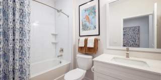 Alta Citron Gallery 60