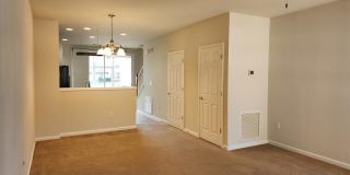 6694 ARCHING BRANCH Circle Gallery 2