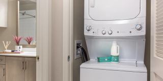 Valentia by Windsor Gallery 16