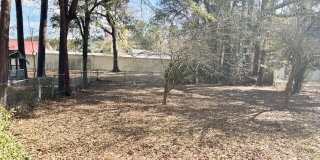 103 Holly Street Gallery 17