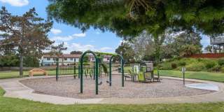 3341 Calle La Veta Gallery 42