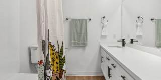 Arrive Laurie Lane Gallery 11