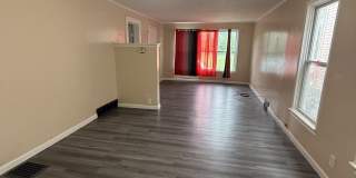 169 Landon St - Lower Gallery 1