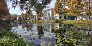 Aspire at Gateway Gallery 16