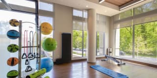 The Lindley Gallery 31