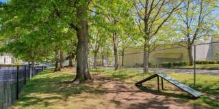 Lakeside Landing Gallery 18