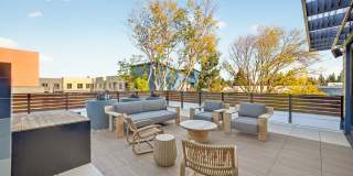 Sevens Luxury Apartment Gallery 148