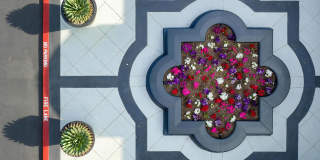 Villas at the Gardens Gallery 42