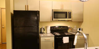 Settlement Place Gallery 253