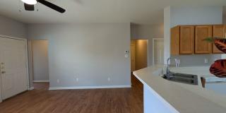 3/2/1 with Formal Dining Room/ Fridge  /Covered Back Patio / No carpet / Fenced in Yard / CISD Gallery 17