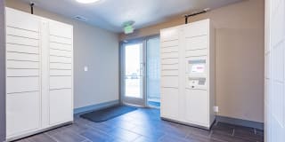 The Grove Gallery 26