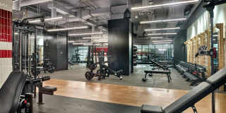 Eugene Eugene Gallery 10