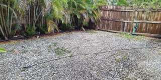 1951 Kathy Lane Gallery 10