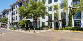 Caroline Uptown West Gallery 8