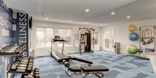 Bayshore Landing Gallery 22