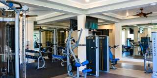 Novus Westshore Gallery 4