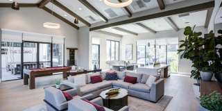 The Strand Gallery 11