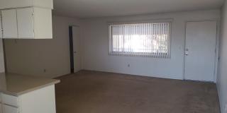 N450-456 Gallery 8