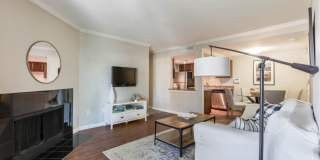 Copper Flats Gallery 6