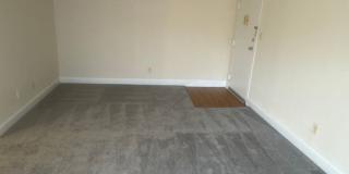 Hewitt Gardens Gallery 42