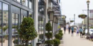 Pier Village Gallery 60