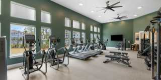 Tapestry Park Gallery 12