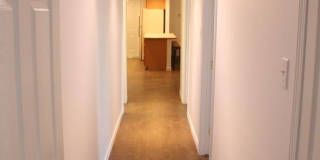 1316 Carol Ann Dr Gallery 16