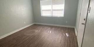 Cottage Home in Seminole Manor Gallery 6