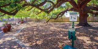 Northgate Oaks Gallery 60