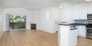 Skyview Gallery 8
