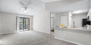 Sabal Palm at Lake Buena Vista Gallery 10