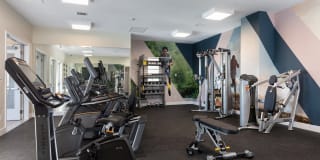 Senior Housing- Palmia, Age 55+ Luxury Apartments Gallery 22