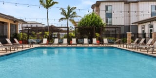 The Element Gallery 16