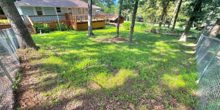 Updated 2-bed/1.5-bath! Gallery 1