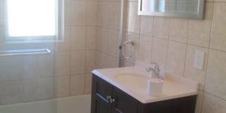 Huge, updated, sunny 5 bed in Coolidge Corner for 9/1! Gallery 16