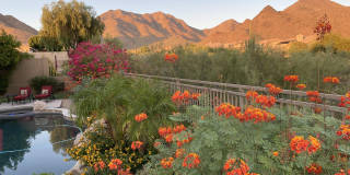 16715 N 108TH Way Gallery 80