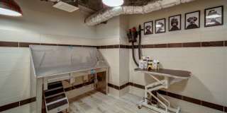 511 Faye Gallery 33