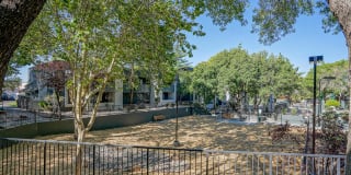 Treehouse Apartments Gallery 55