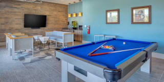 Williamson at the Overlook Gallery 8