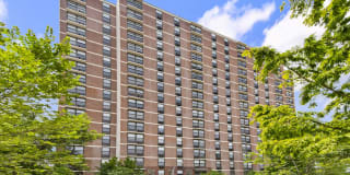 Reside on Barry Gallery 8