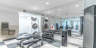 Lake Saunders Reserve Gallery 18