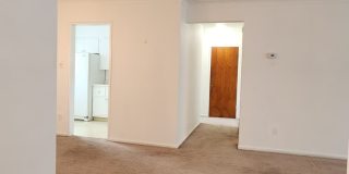 21319 Kingsville Street - 104 21319 Kingsville Street - 104 Gallery 6