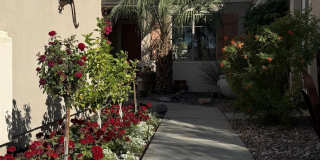 80372 Camino San Lucas Gallery 56