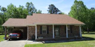 Sherwood Forest Gallery 1