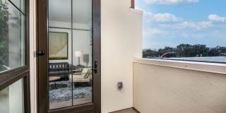 Azara Gallery 34
