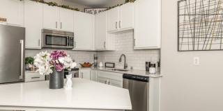 Cantera at Towne Lake Gallery 1