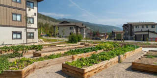 Wintergreen Ridge Gallery 20