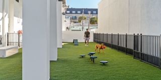 VIV Gallery 44