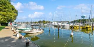 Nautilus Point Gallery 16