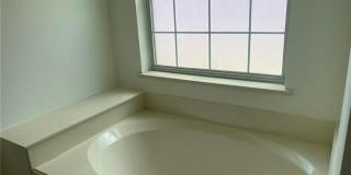 1556 STEEPLE CHASE Lane Gallery 16